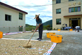 赤溪黃田：花生豐收季 農(nóng)戶笑開(kāi)顏